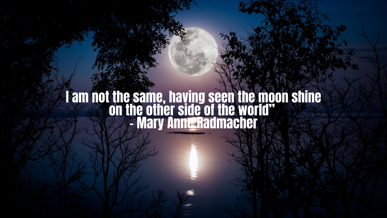 I am not the same, having seen the moon shine on the other side of the world” – Mary Anne Radmacher